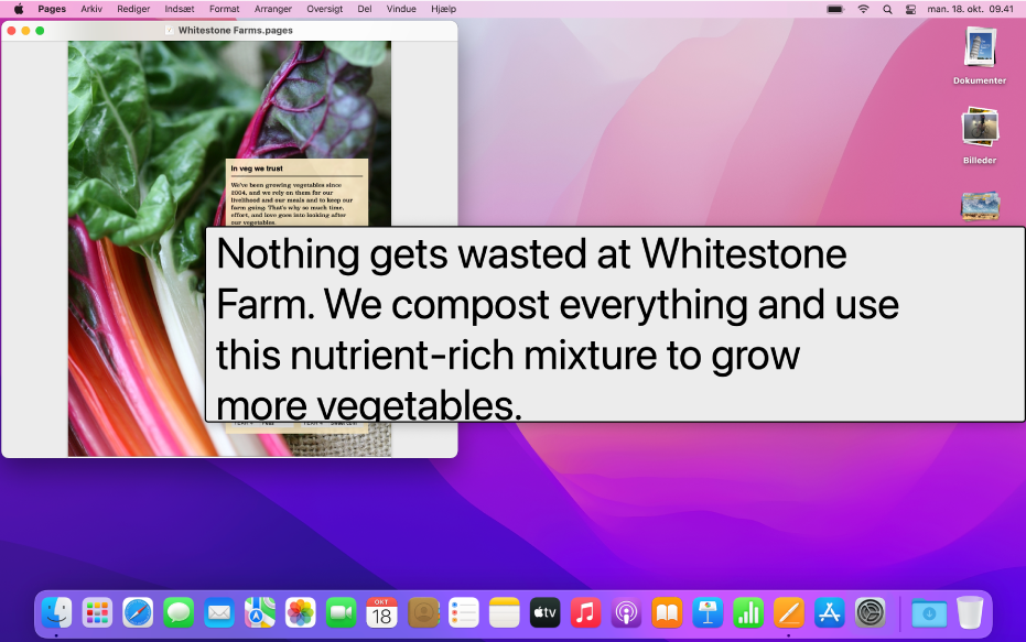 Et Pages-dokument med Hover Text-vinduet, der viser en stor version af tekst i dokumentet af høj opløsning.