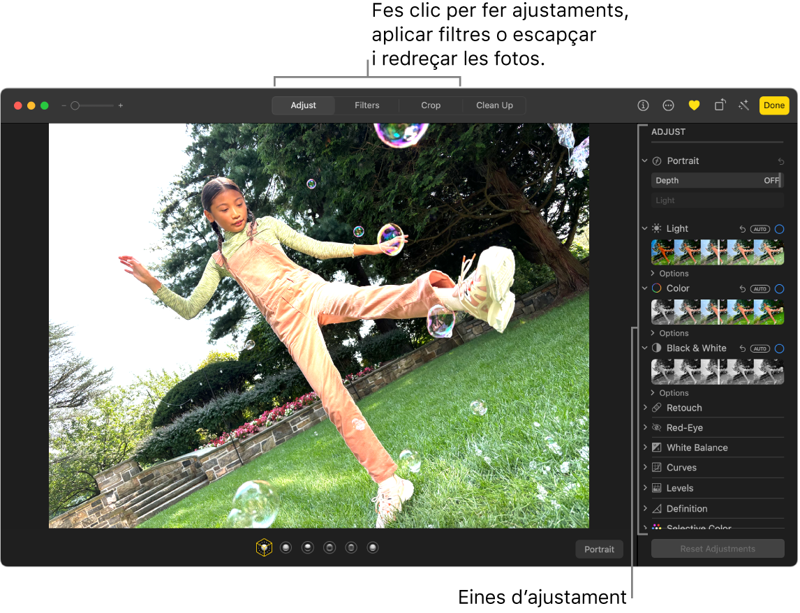 Una finestra de l’app Fotos que mostra una foto que s’està editant.