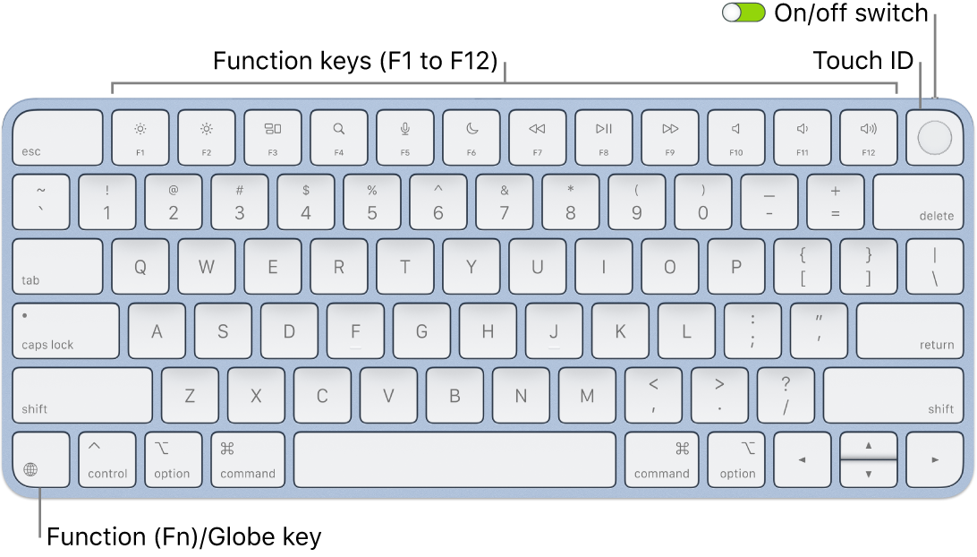 The Magic Keyboard with Touch ID showing the row of function keys and Touch ID across the top, and the Function (Fn)/Globe key in the lower-left corner.