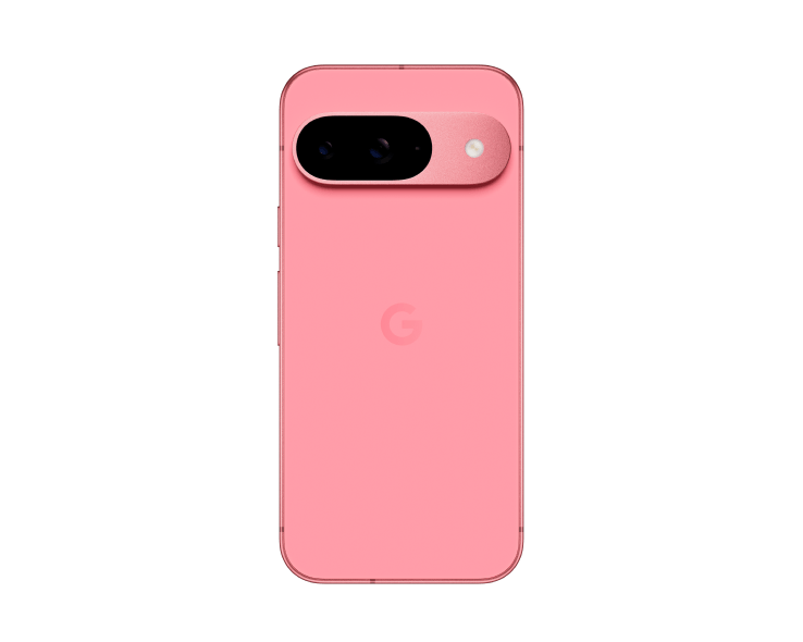 Back of Pixel 9
