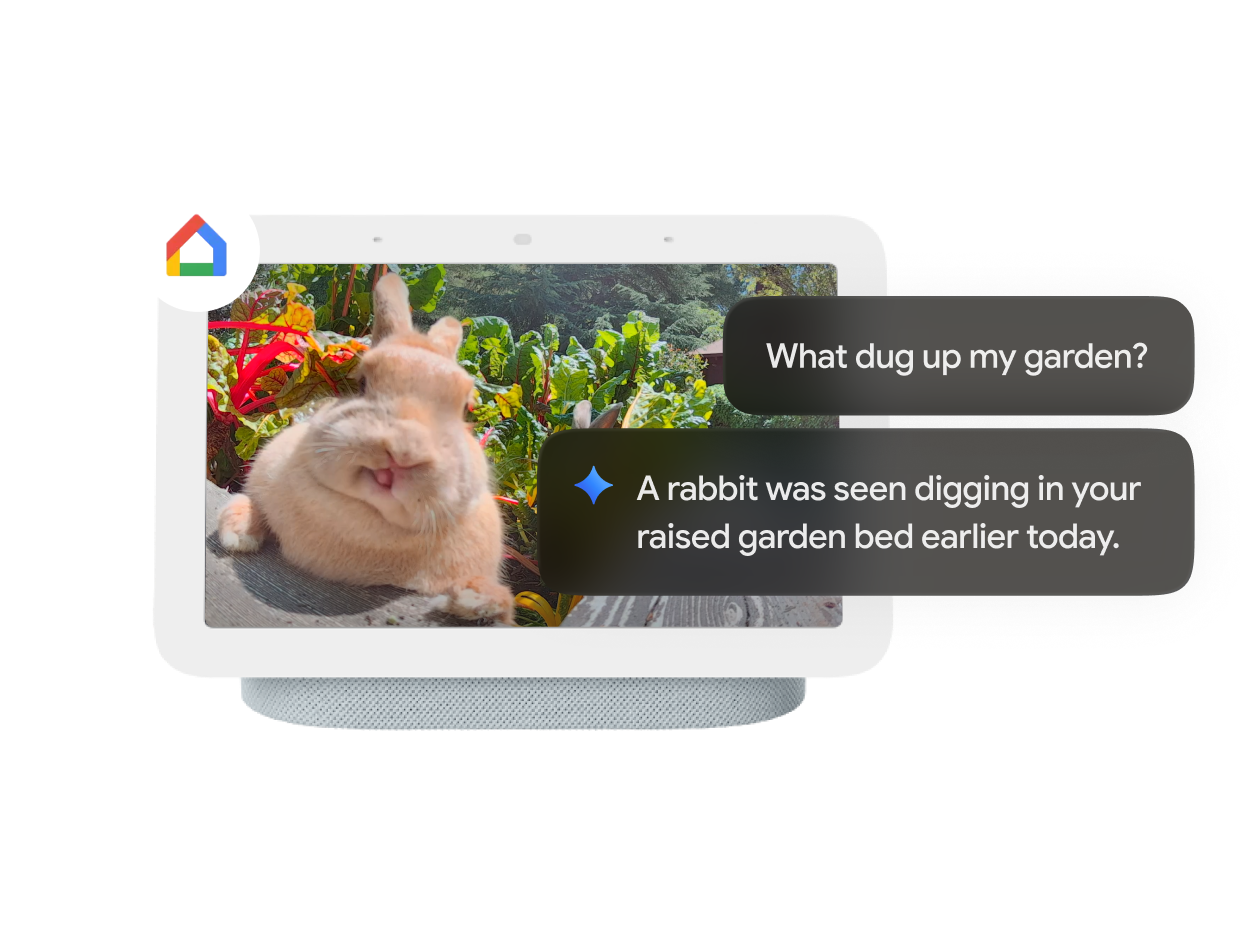 A Google Home device with a picture of a rabbit on screen and a prompt that reads “What dug up my garden?”