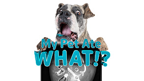 My Pet Ate What? thumbnail