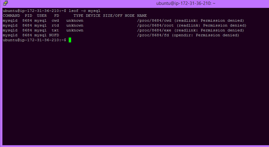 list all open files by a particular process