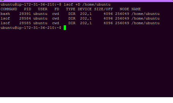 list all opened files opened by a directory