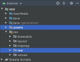 assets and raw folder