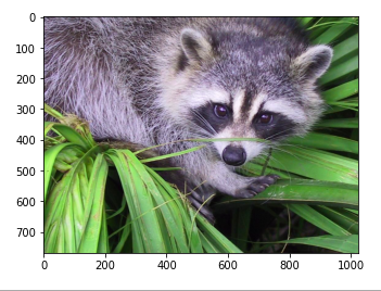 scipy open image