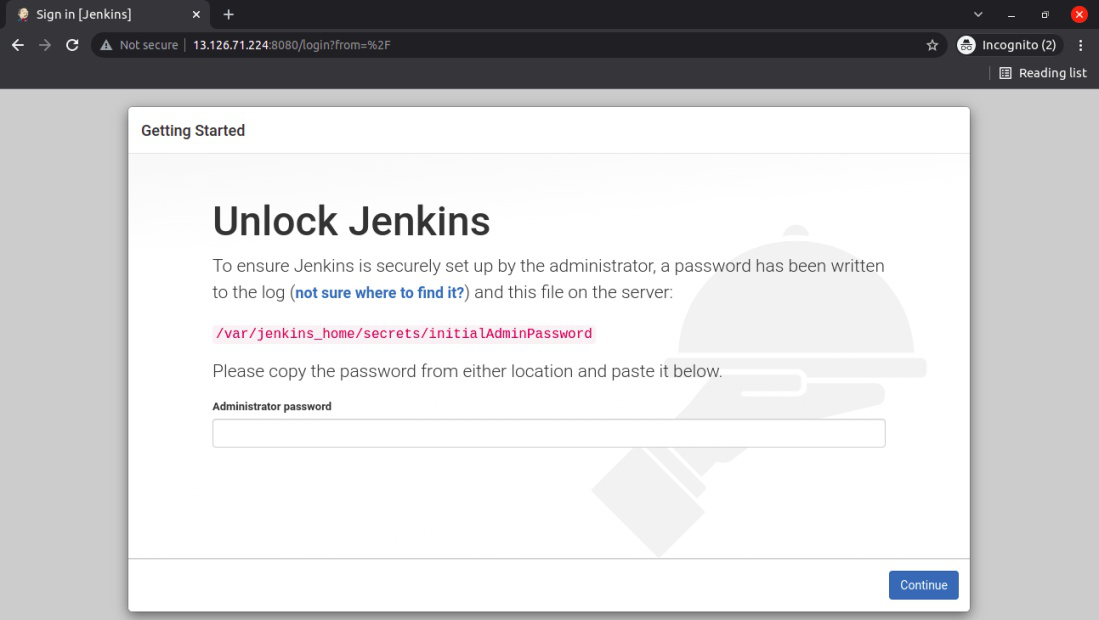 providing the password to jenkins console
