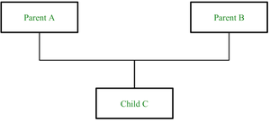 multiple inheritances
