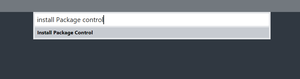   Setting up Sublime Text