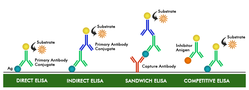 ELISA