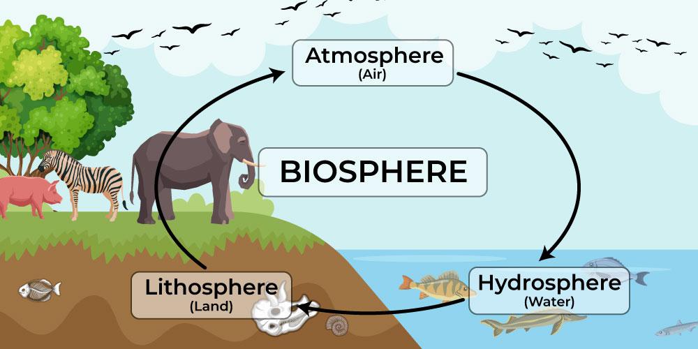 Biosphere