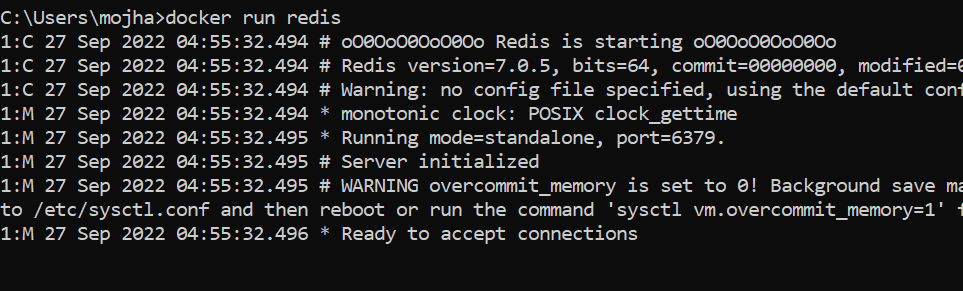 docker run image