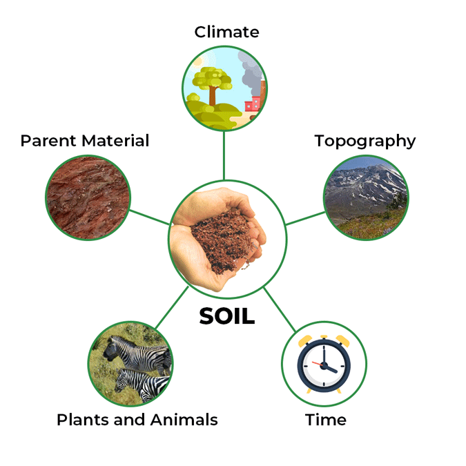 Factors for Soil Formation