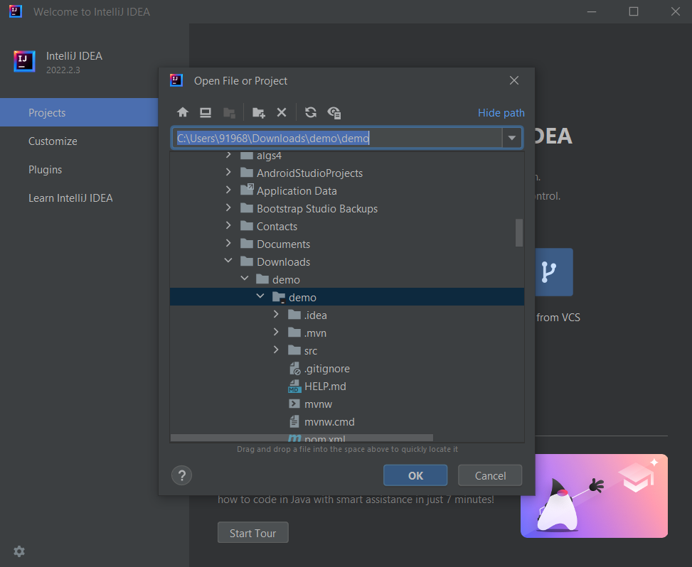 Opening Project in IntelliJ Idea Community edition