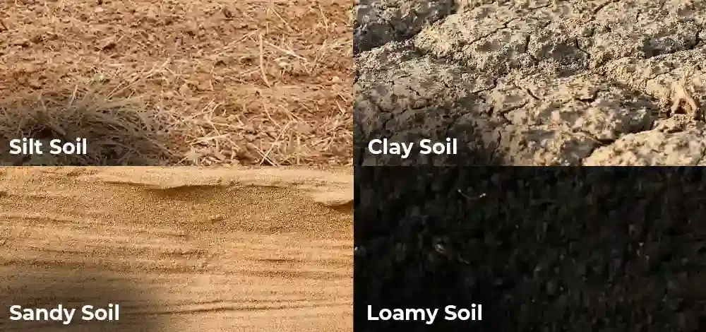 Types of Soil