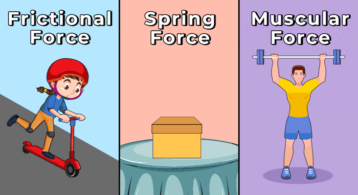 Contact Force