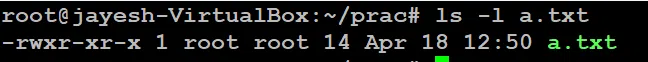 ls -l a.txt