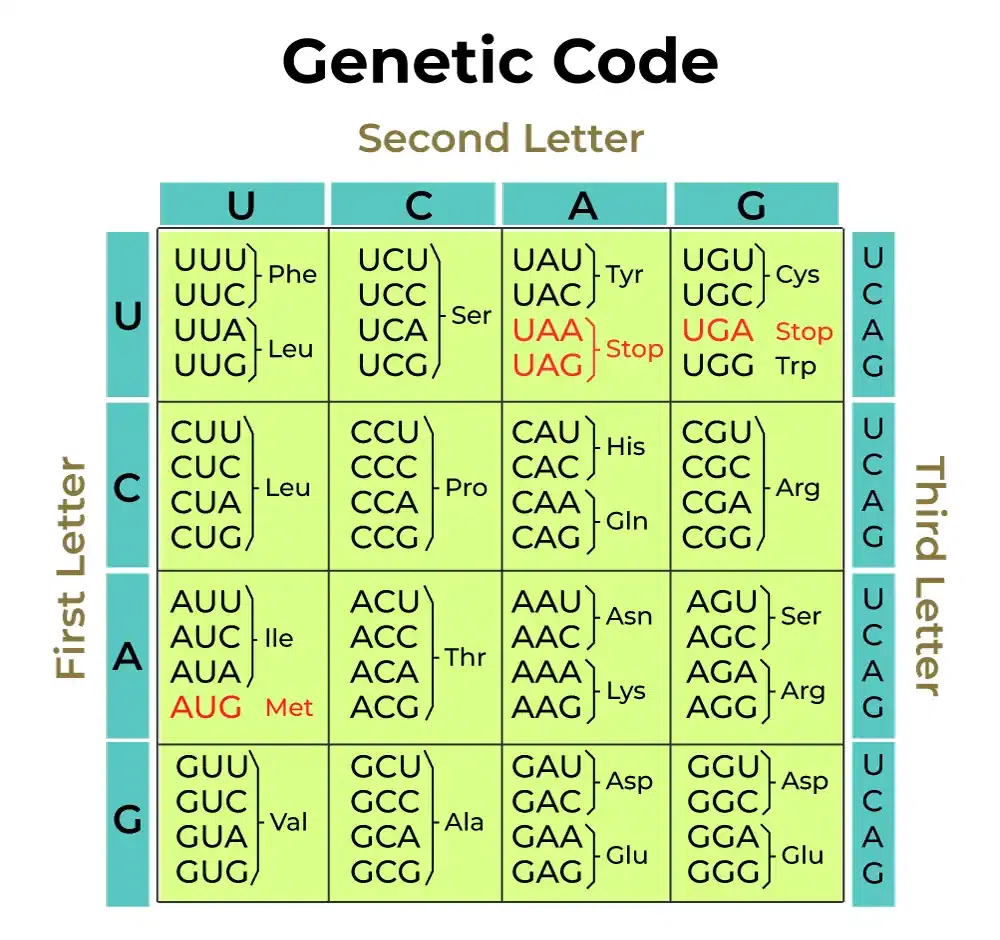 Genetic Code