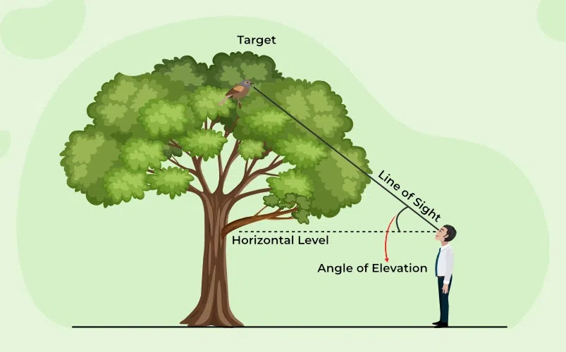 Angle of Elevation - Trigonometry
