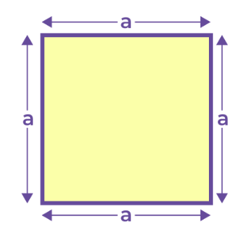 Perimeter of Square