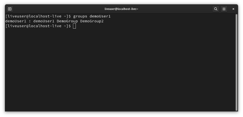Using groups command with username, example 2
