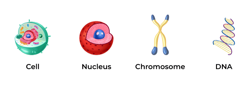 Molecular-Biology