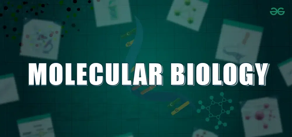 Molecular-Biology-