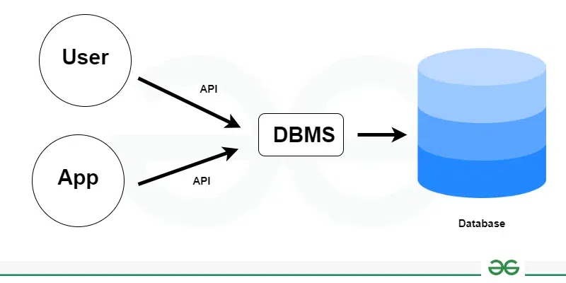 DBMS