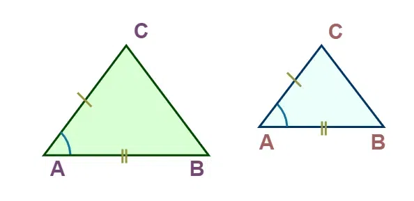 Similar-Figures(SAS)