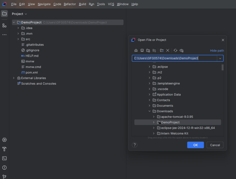 Import-Project