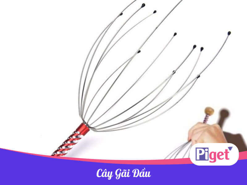 Cây gãi đầu là gì Cây gãi đầu là gì