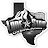 Lone Star Overland logo